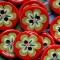 K75 R�d knap med blomst